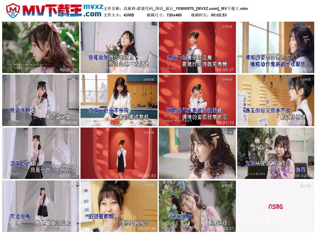 高秋梓-甜蜜代码_国语_流行_YE600970